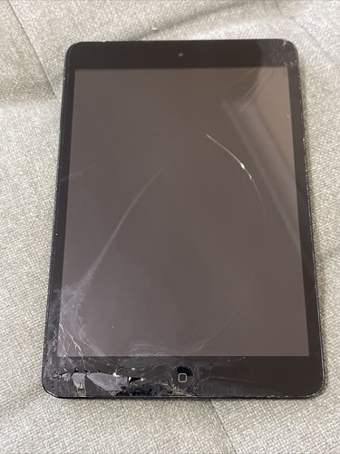 Apple ipad mini - ipad,